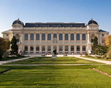 Priceless Golden Samples Stolen in Daring Raid at France's National Museum