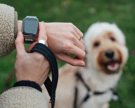 The Honest Scoop About Fitness Trackers? Daily Existence Is Better Without a Nagging Device on Your Wristwear